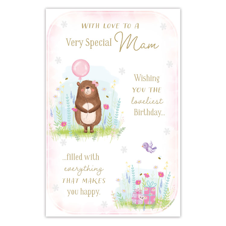 6pk Cards C375 Birthday Mam - Tiger Feet Ireland