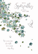 6pk Cards C50 Sympathy - Tiger Feet Ireland