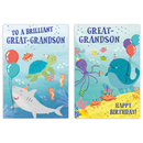 12pk Cards C50 Birthday Great-Grandson - Tiger Feet Ireland