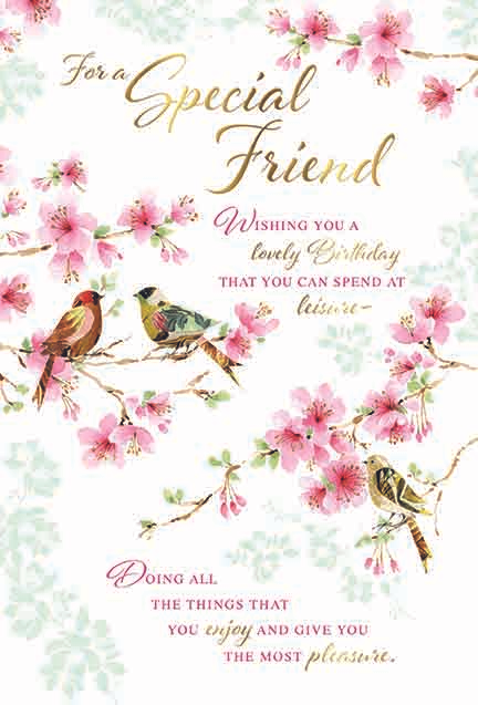6pk Cards C75 Birthday Friend - Tiger Feet Ireland