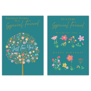 12pk Cards C50 Birthday Friend - Tiger Feet Ireland