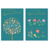 12pk Cards C50 Birthday Friend - Tiger Feet Ireland