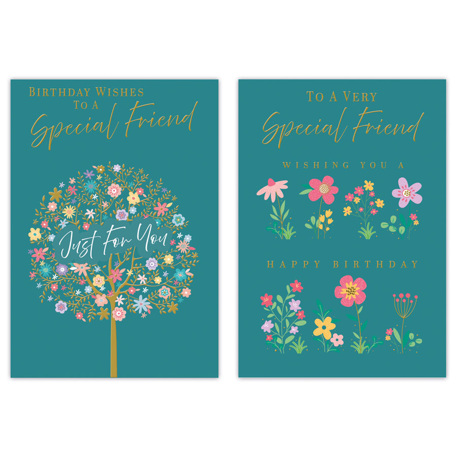 12pk Cards C50 Birthday Friend - Tiger Feet Ireland