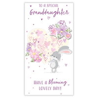 6pk Cards C55 Birthday Granddaughter - Tiger Feet Ireland
