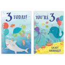 12pk Cards C50 Birthday Age 3 - Tiger Feet Ireland
