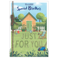 6pk Cards C50 Birthday Brother - Tiger Feet Ireland
