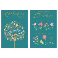 12pk Cards C50 Birthday Age 17 - Tiger Feet Ireland