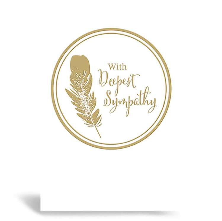6pk Cards C50 Sympathy - Tiger Feet Ireland