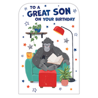 6pk Cards C75 Birthday Son - Tiger Feet Ireland