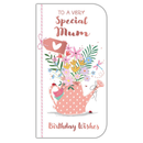 6pk Cards C55 Birthday Mum - Tiger Feet Ireland