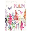 6pk Cards C50 Birthday Nan - Tiger Feet Ireland