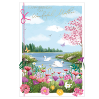 6pk Cards C50 Birthday Mother - Tiger Feet Ireland