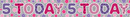 6pk Banners Birthday Age 5 - Tiger Feet Ireland