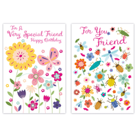 12pk Cards C50 Birthday Friend - Tiger Feet Ireland