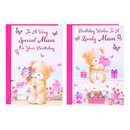 12pk Cards C50 Birthday Mum - Tiger Feet Ireland