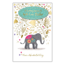 6pk Cards C75 Birthday Sister - Tiger Feet Ireland