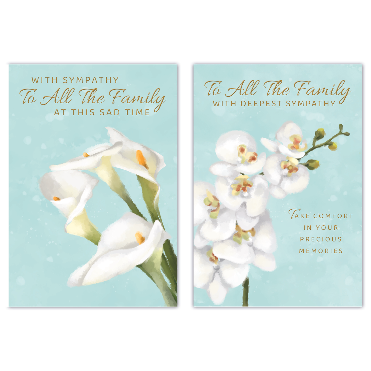 12pk Cards C50 Sympathy To All The Family - Tiger Feet Ireland