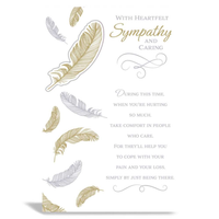 6pk Cards C75 Sympathy Open - Tiger Feet Ireland