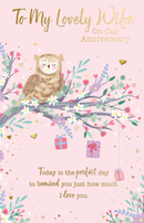 6pk Cards C375 Wife Anniversary - Tiger Feet Ireland