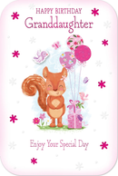 6pk Cards C75 Birthday Granddaughter - Tiger Feet Ireland