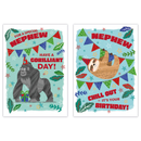 12pk Cards C50 Birthday Nephew - Tiger Feet Ireland