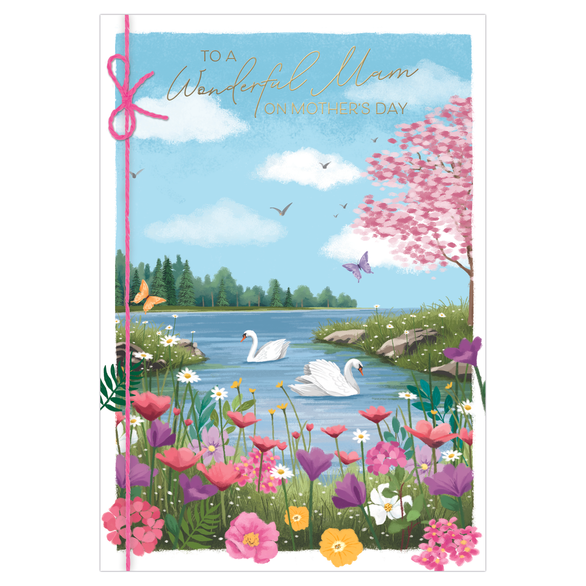 6pk Cards C50 Mam - Tiger Feet Ireland
