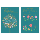 12pk Cards C50 Birthday Belated - Tiger Feet Ireland