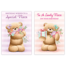 12pk Cards C50 Birthday Niece - Tiger Feet Ireland