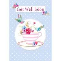 6pk Cards C50 Get Well - Tiger Feet Ireland