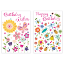 12pk Cards C50 Birthday Open - Tiger Feet Ireland