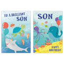 12pk Cards C50 Birthday Son - Tiger Feet Ireland