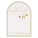 6pk Cards C50 Son & Daughter-In-Law Anniversary - Tiger Feet Ireland
