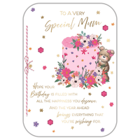 6pk Cards C90 Birthday Mum - Tiger Feet Ireland