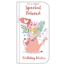 6pk Cards C55 Birthday Friend - Tiger Feet Ireland