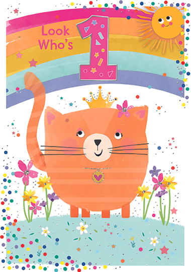 6pk Cards C50 Birthday Age 1 - Tiger Feet Ireland