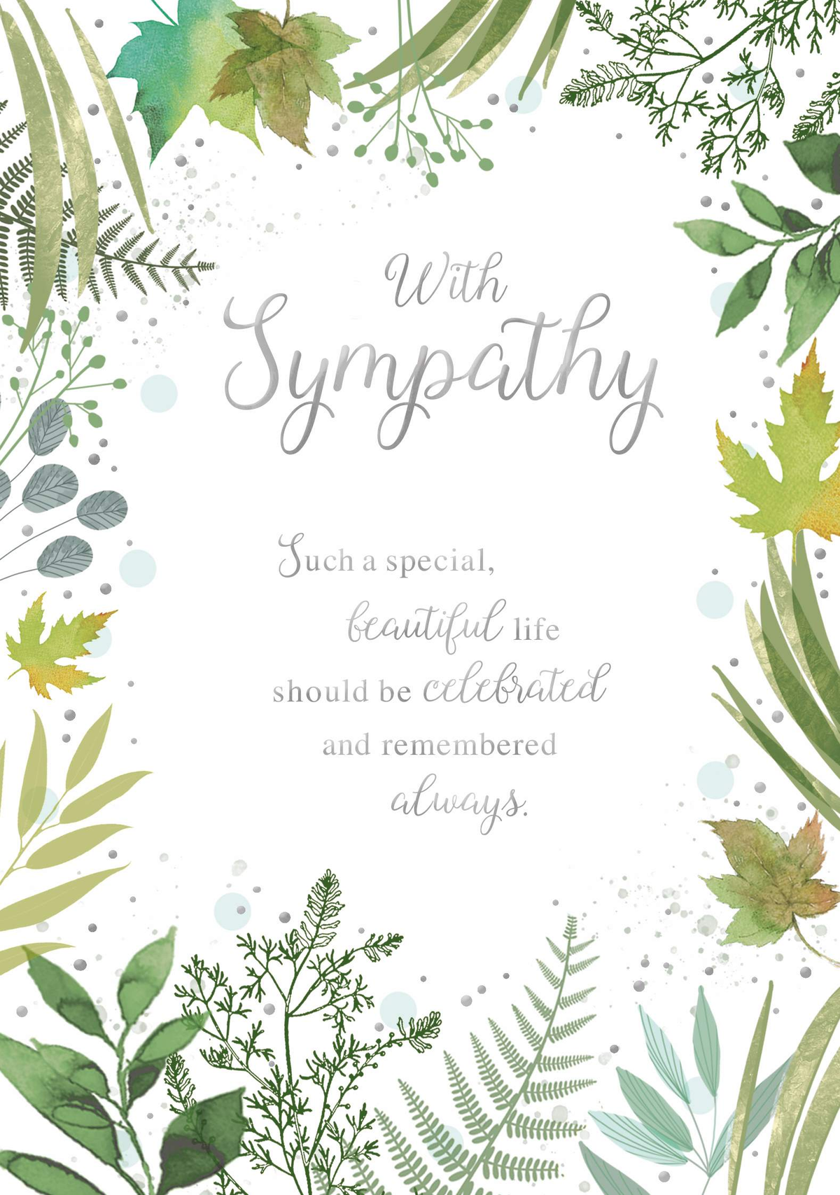 6pk Cards C50 Sympathy - Tiger Feet Ireland