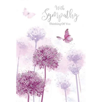 6pk Cards C50 Sympathy - Tiger Feet Ireland