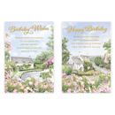 12pk Cards C50 Birthday Open - Tiger Feet Ireland