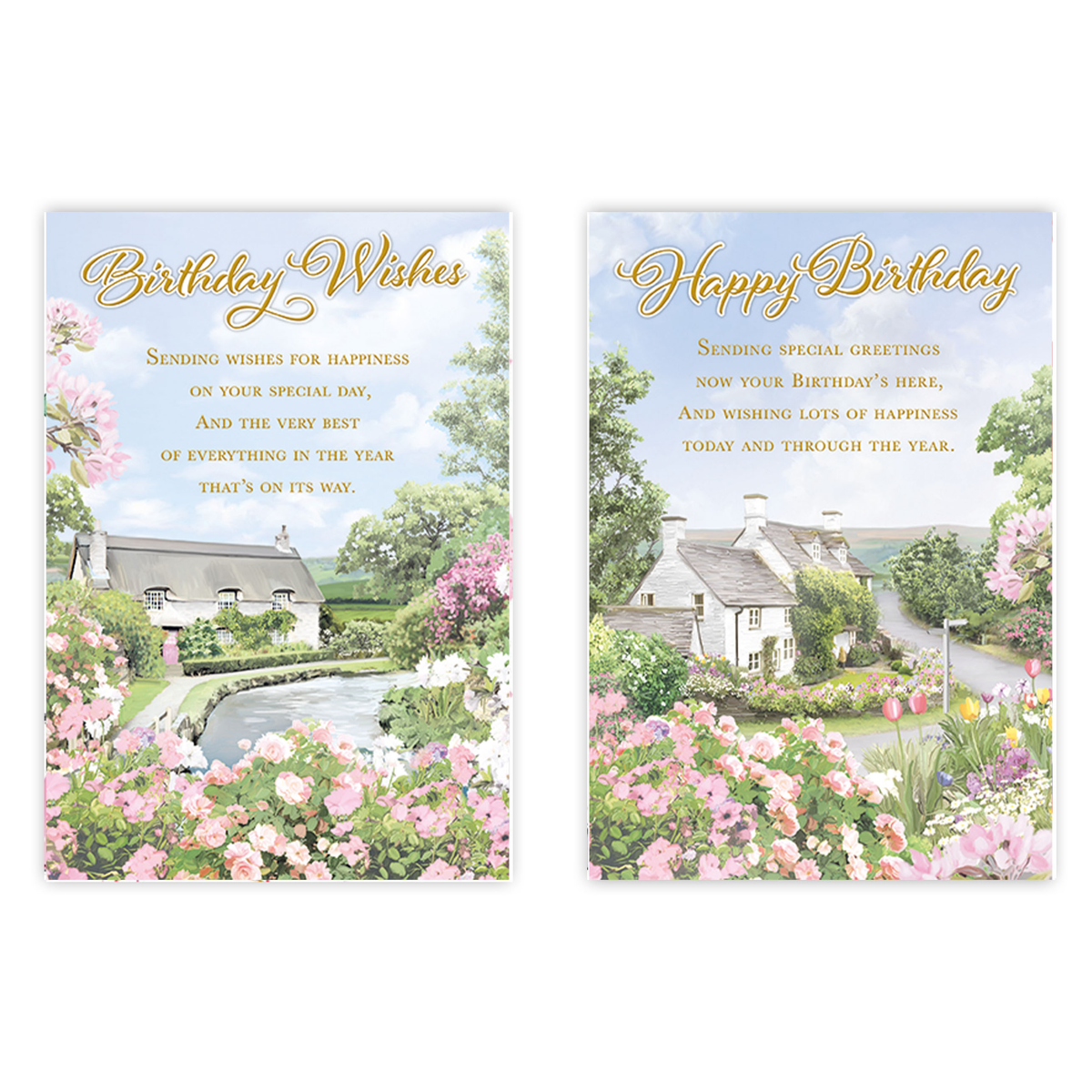 12pk Cards C50 Birthday Open - Tiger Feet Ireland