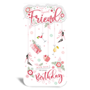6pk Cards C55 Birthday Friend - Tiger Feet Ireland