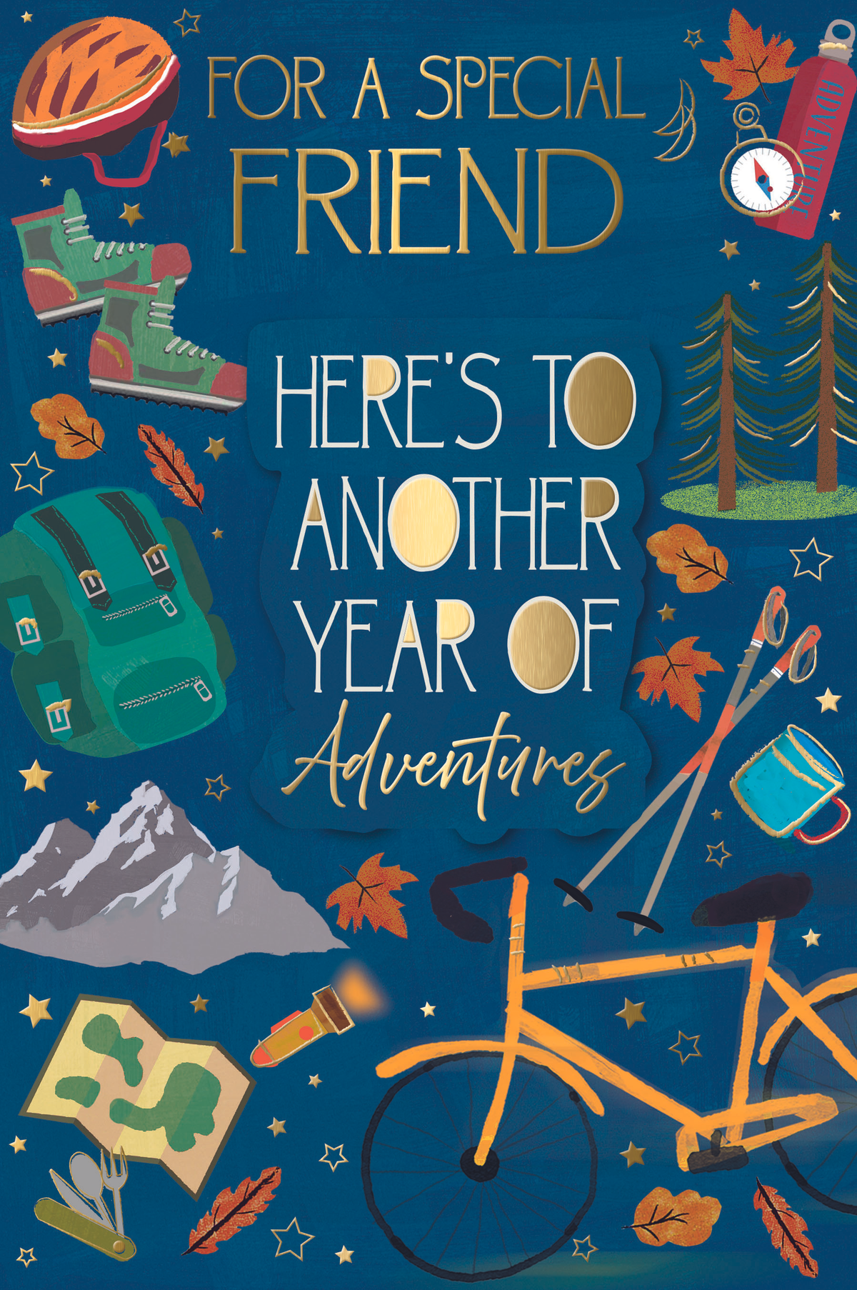 6pk Cards C75 Birthday Friend - Tiger Feet Ireland