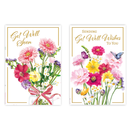12pk Cards C50 Get Well - Tiger Feet Ireland