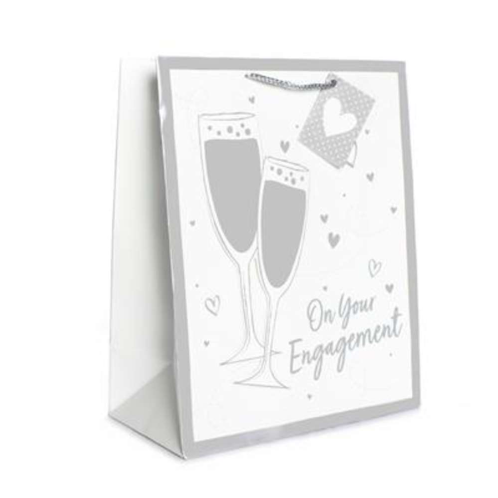 6pk Gift Bags Large Portrait Champagne - Tiger Feet Ireland