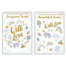 12pk Cards C50 Christening Twins - Tiger Feet Ireland