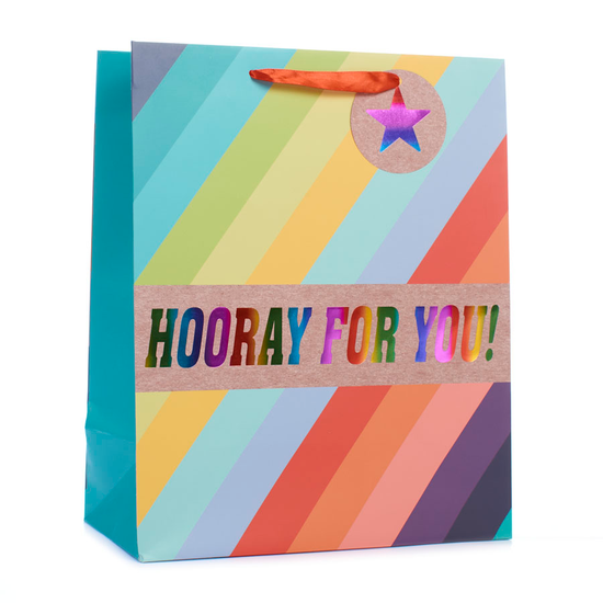 Tiger Feet Gift Bag Rainbow Stripe Large 6pk