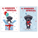 12pk Cards C50 Birthday Someone Special - Tiger Feet Ireland