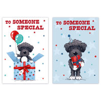 12pk Cards C50 Birthday Someone Special - Tiger Feet Ireland