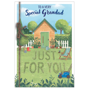 6pk Cards C50 Birthday Grandad - Tiger Feet Ireland
