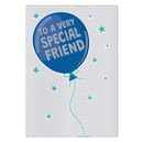 6pk Cards C50 Birthday Friend - Tiger Feet Ireland
