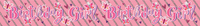 6pk Banners Birthday Open - Tiger Feet Ireland